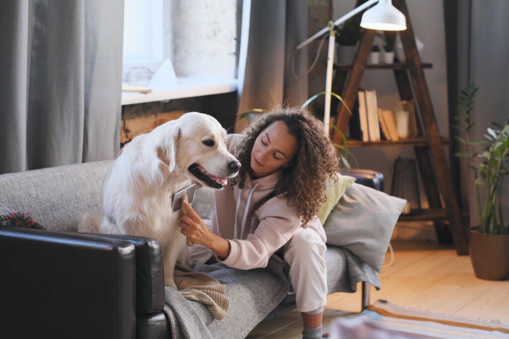 Woman care of her pet